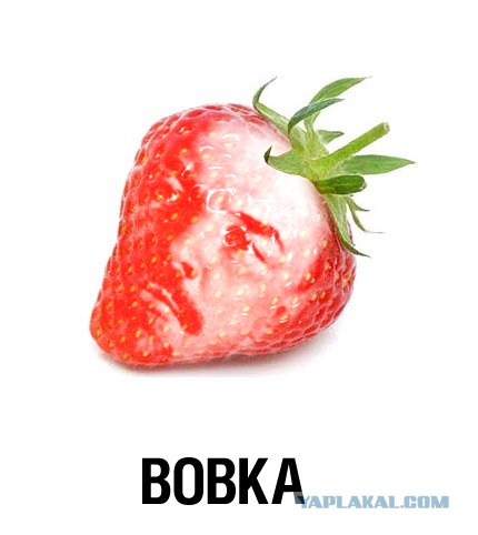 Фотожаба: Лето, фрукты, генетика!