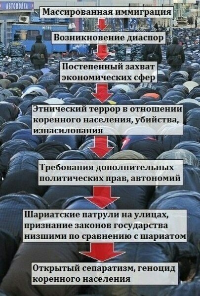 Буйные мигранты опять напали на полицейских