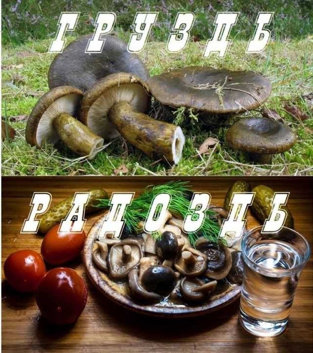 Бредзона 19.09.20