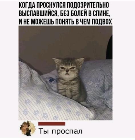 Картинки и мемы для настроения 025