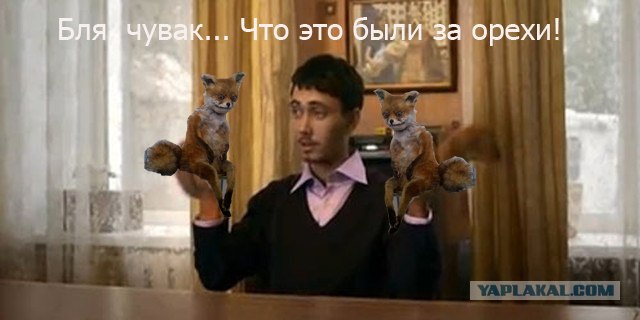 Таксидермия + наркомания