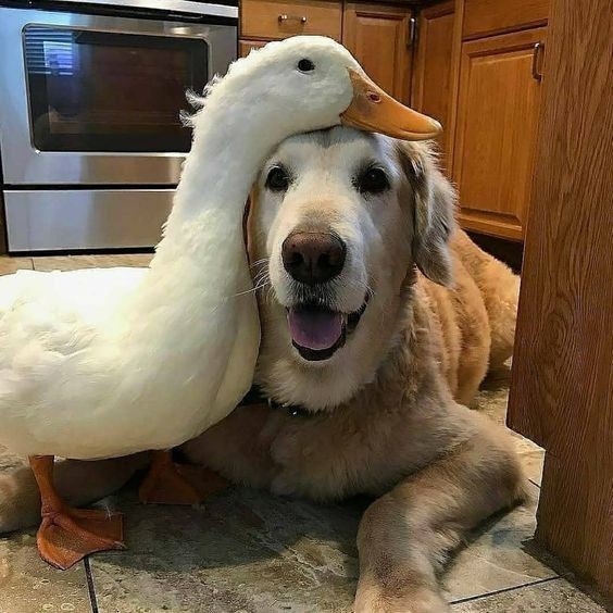 Подборка картинок всяких