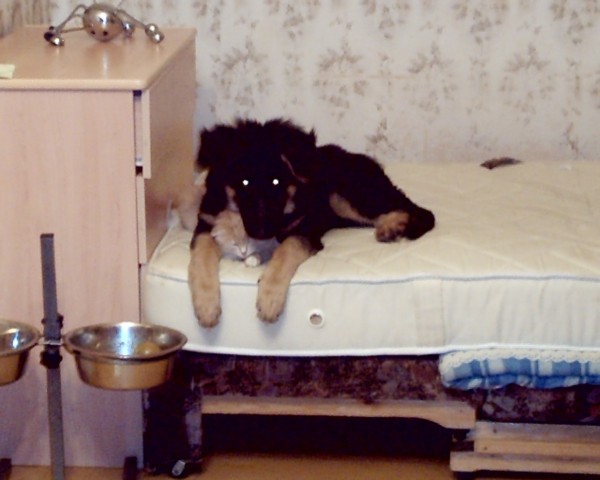 А вот не надо срать на детских площадках.