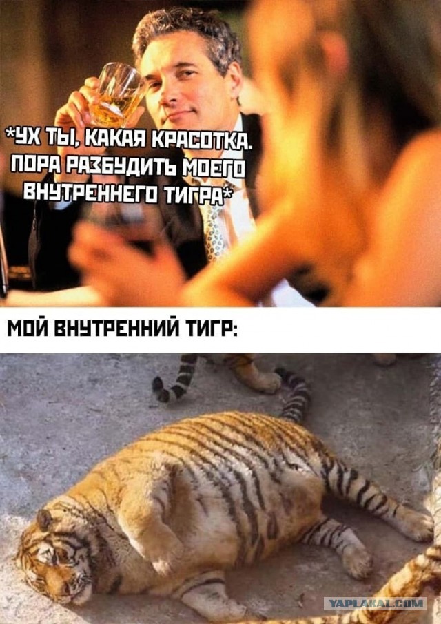 Для взрослых. Мужчин