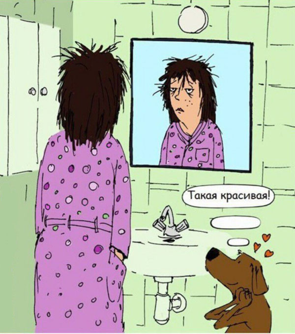 Юмор и прикольные картинки