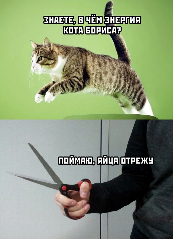 Весёлый полтишок 30.10