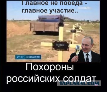 Весёлый полтишок 01.02