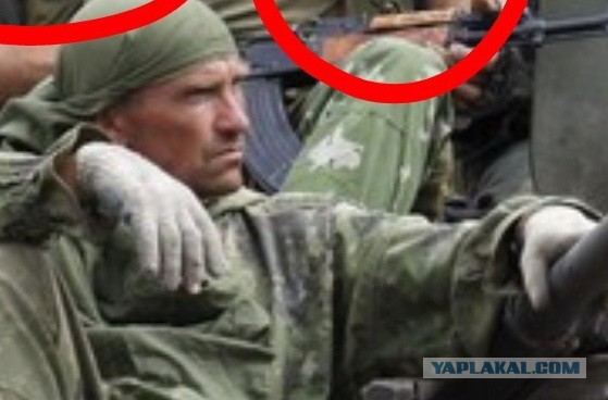 Свиное мурло российской богемы.