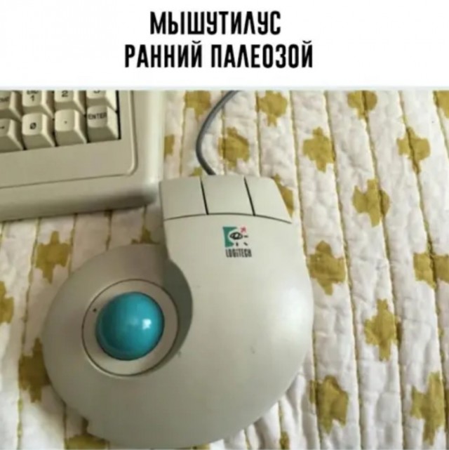 Так себе картинки 04.05.22