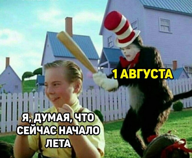 Немного картинок."Колбасный ветер". Август