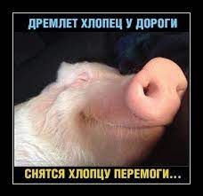 Ультиматум.