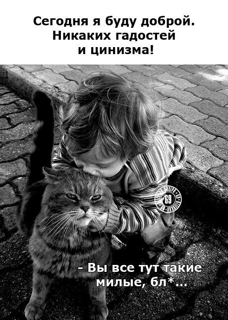 Картинки и мемы, всяко разно - 185