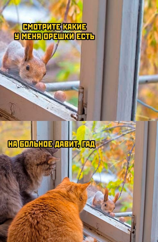 Весёлый полтишок 05.10.23