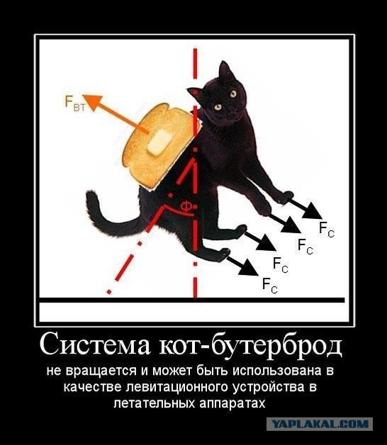 Занимательная физика