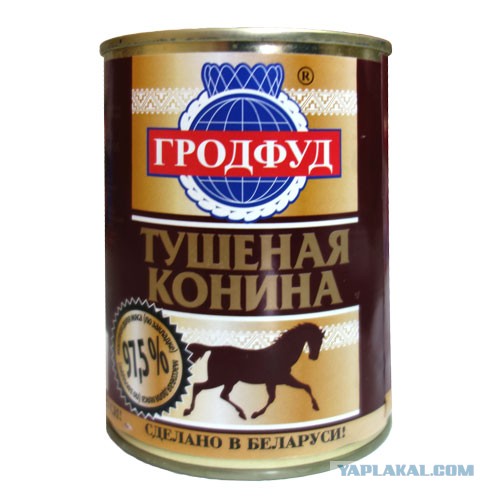Страсти вокруг бродячих собак в Магаданской области