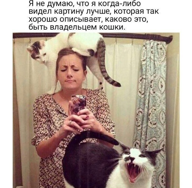 Так себе картинки 19.12.23