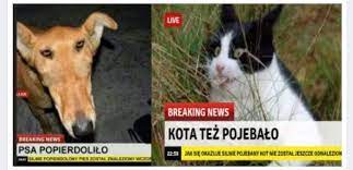 Чем известна Польша?