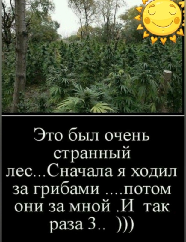 Недовоскресенье 16.06.24