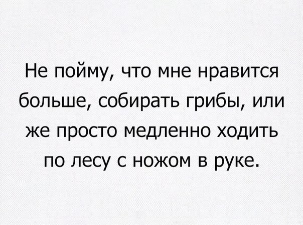 Гриб "внутриберезовик"