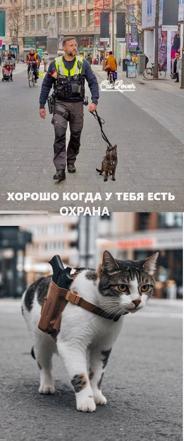 Картинки разные с надписями и без