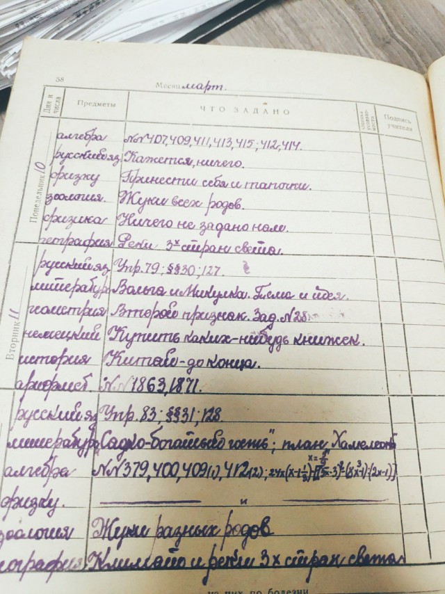 Родители не хотят переходить на «Сферум»