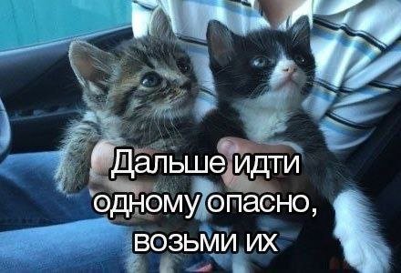 Так себе картинки 24.12.24