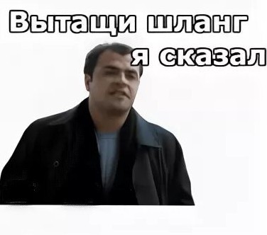 Их нравы