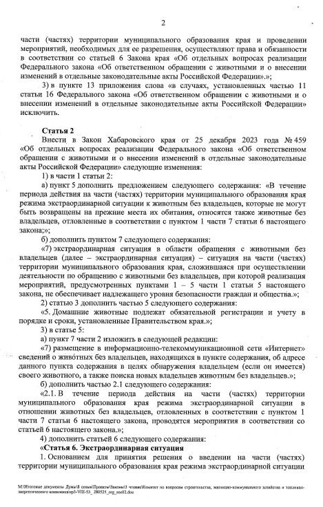 Эвтаназию бродячих собак разрешили в Хабаровском крае после многочисленных нападений на людей