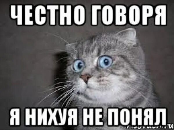 Суд