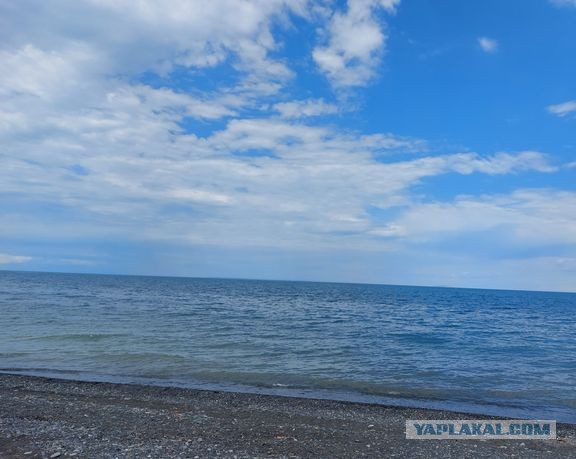 Алаколь. Всё включено отдыхать хорошо, а дикарями лучше