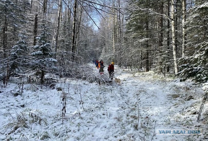 «Нельзя прекращать поиски, счет идет на часы»