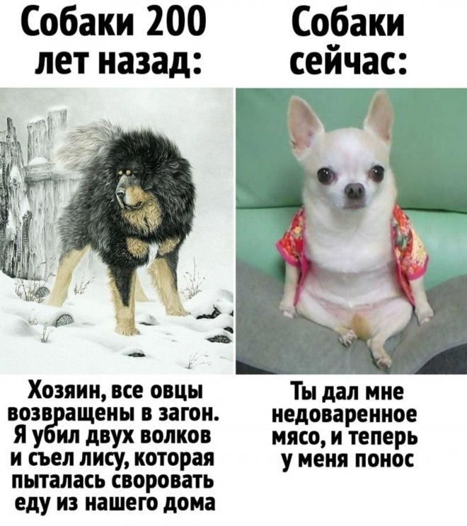 20585013.jpg