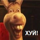 мысли по этому поводу