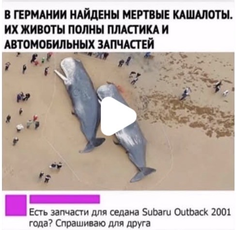 Картиночки, баянчики 09 февраля