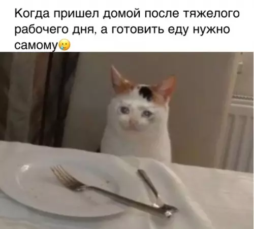 Картиночки, баянчики 13 февраля