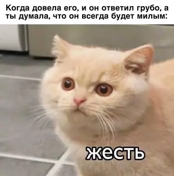 Картиночки, баянчики 25 февраля