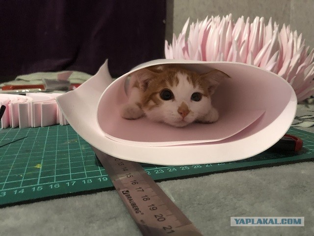 Разные какие