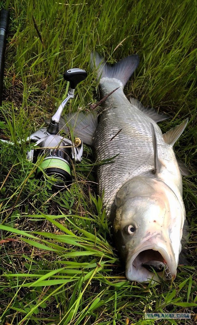 Изготавливаю на заказ рыболовные спиннинговые приманки (блесны-пилькеры).