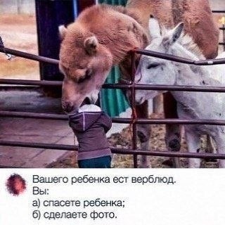 Веселые картинки в понедельник (25.05)