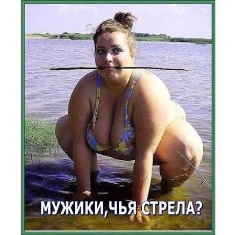 Картинки для деградации 240 (разной степени свежести)