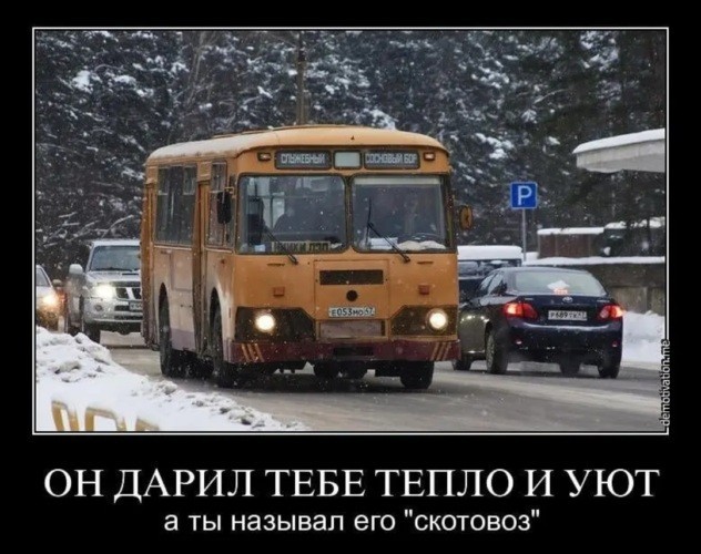 Элитный скотовоз
