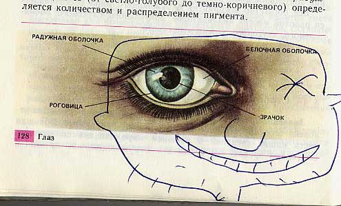 Разрисованные учебники (150 рисунков)