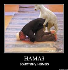 Что смотришь?