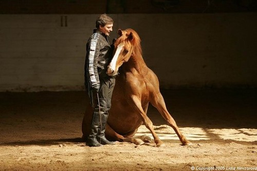 Скоро Год Лошади)))