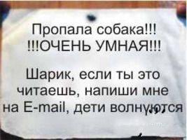 Картинки, объявления - 2