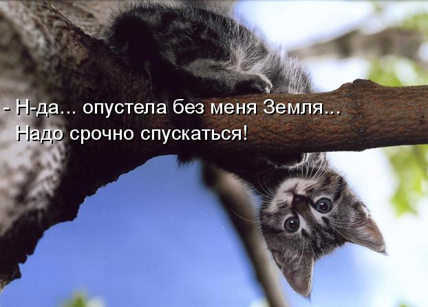 Не про олимпиаду