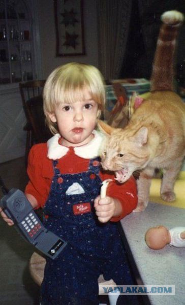 Весёлые картинки. Разбавим будни