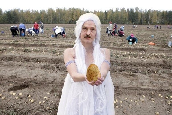 ИГРА ПРЕСТОЛОВ
