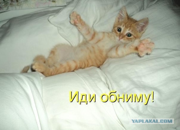 Чёрт, чёрт, чёрт!