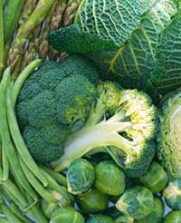 Плюсомет со шпалометом